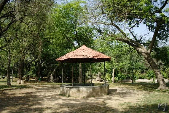 shade1 Lodi Gardens, New Delhi
