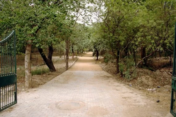 mehrauli archaeological park new delhi Mehrauli Archaeological Park, New Delhi