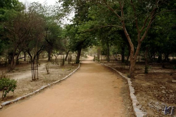 walking trail Mehrauli Archaeological Park, New Delhi